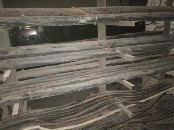 5c1c642647acc.jpg image006.jpg