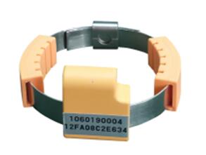 6484157a3a2dc.jpg QQ截图20230610141607.jpg